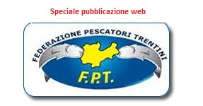 FPT web