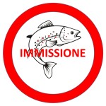 Immagine 2025-02-12 174035